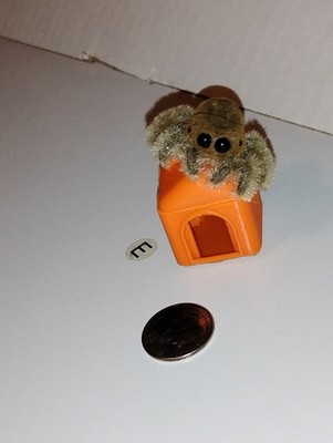 Mini House For Use With Real Jumping Spider Or Zuru my Mini Pets jumping Spider