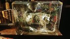 Foto 3 di 3