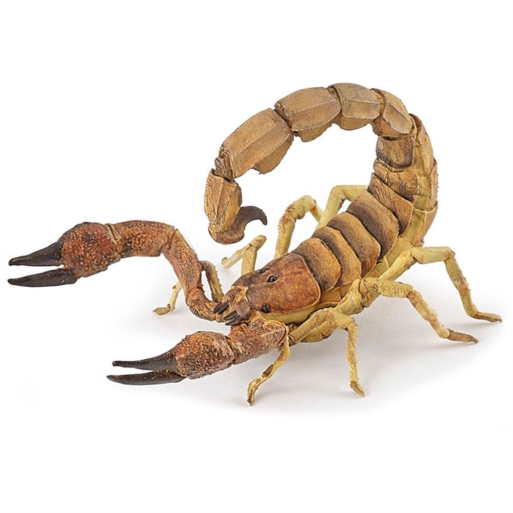 Papo 50209 Scorpion 8 Cm Wildlife - Image 3