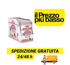12 Royal Canin Bustine Umido Kitten Gattini in salsa alimento completo