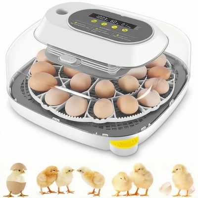 Vollautomatische Brutmaschine 24 Eier Inkubator Brutautomat Egg 4 Modi Incubator