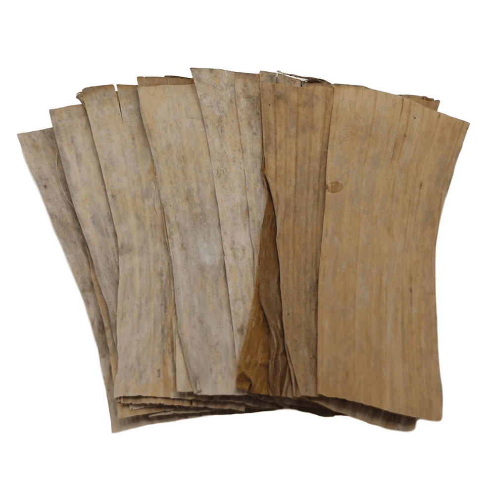 Betta Choice Aquarium Banana Leaves (20pk)