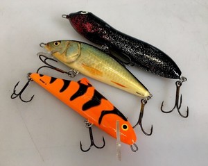 Salmo Skinner