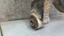 Bild 3 von 10