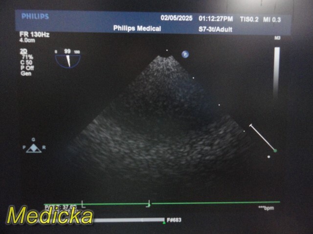 Picture 5 of 24