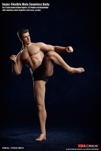 TBLeague PHICEN 1/12 TM01A TM02A Stecker nahtloser Körper 6" Figur mit KOPF SCULPT - Bild 5 von 20