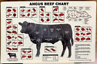 Angus Beef Chart Butcher Meat Cuts High Quality Plastic 17x11 Sign Cow Poster