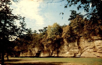 White Pines State Park, Illinois, 1971 Postcard