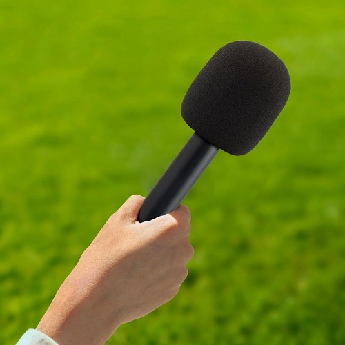 Wireless Mic Handheld Adapter With Windshield Foam Lightweight Interview Mic BEA - Picture 9 of 12