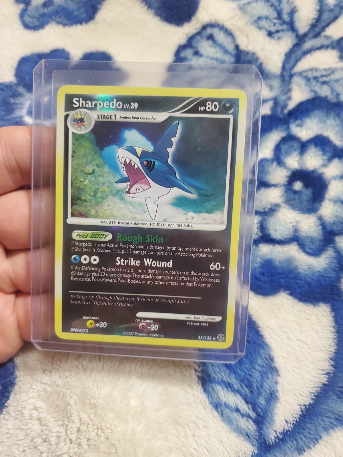 Sharpedo 37/132 Secret Wonders Reverse Holo LP