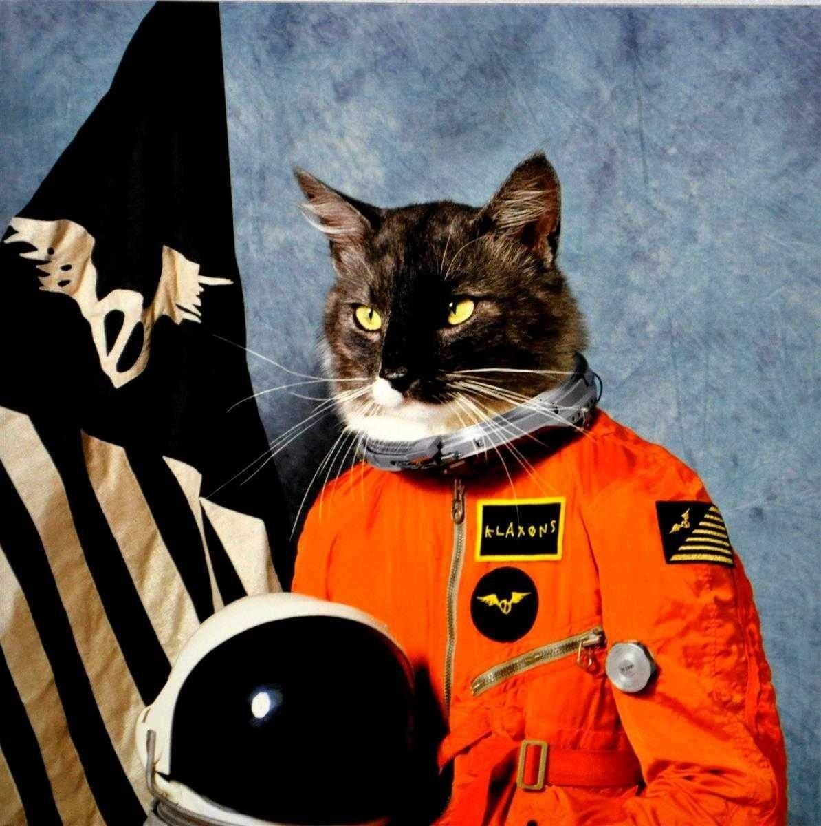Klaxons / Surfing the Void (CD) **NEW**