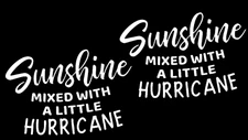 Sunshine Mixed with A Little Hurricane TWO White Vinyl Decals Car Truck Windows