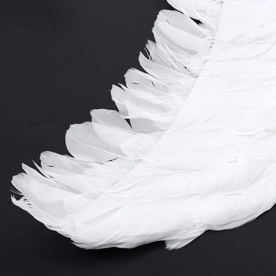 Decoración distintiva de ala de plumas para actuación de escenario de fiesta Foto 4 de 4
