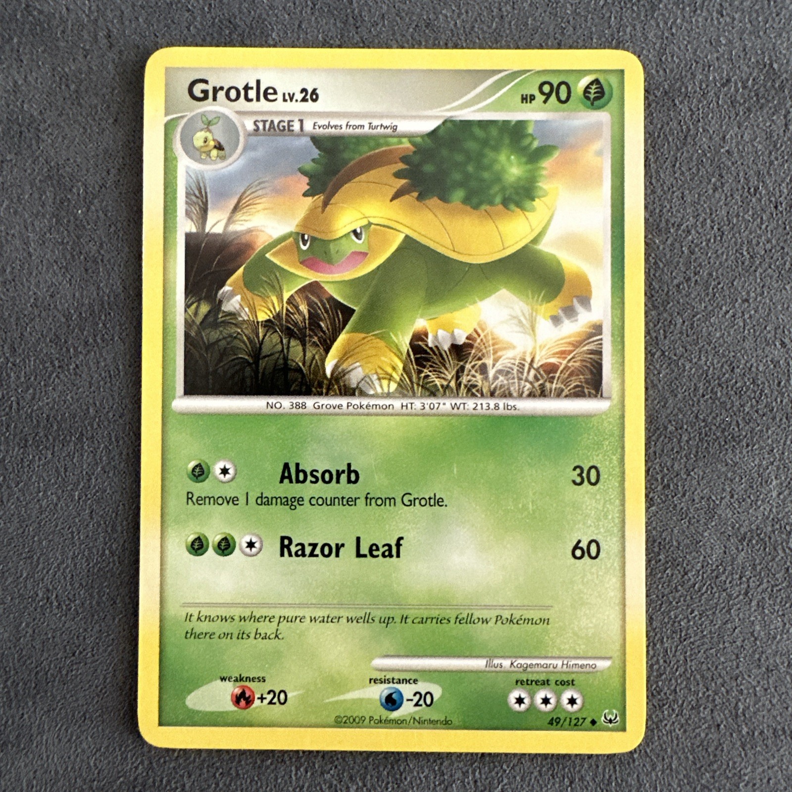 Grotle 49/127 NM/LP Platinum
