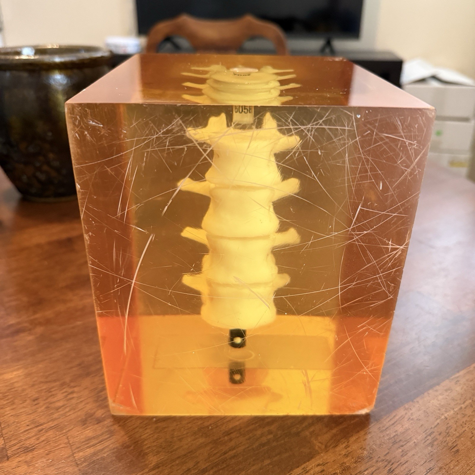 Hologic 030-1967 DPA/QDR-1 Anthropomorphic Spine Phantom