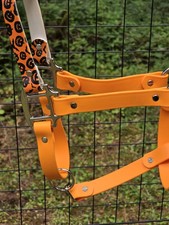 Biothane Horse Halter - Halloween Holiday - Average Horse Sized