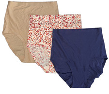 NEW  66 CHANTELLE INTIMATES SOFT STRETCH HIGH WAIST BRIEFS 3 PACK OS