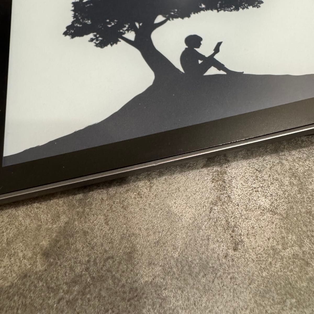 Picture 6 of 6