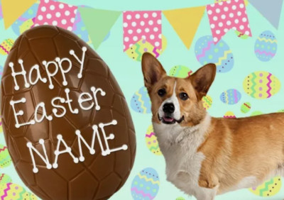 Personalisierte Grußkarte Welsh Corgi Hund Frohe Ostern A5 Schokoladenei EE84