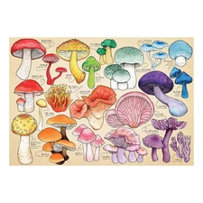 Mushroom Mania 1000 Piece Jigsaw Puzzle HOP New