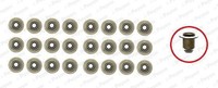 Payen Dichtungssatz, Ventilschaft U.A. FüR CitroËN, Jaguar, Land Rover, Peugeot