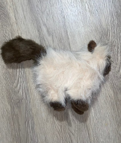 Ganz Webkinz Peluche Gato del Himalaya Gatito Esponjoso Peluche Sin Usar Código HM165 - Imagen 10 de 10