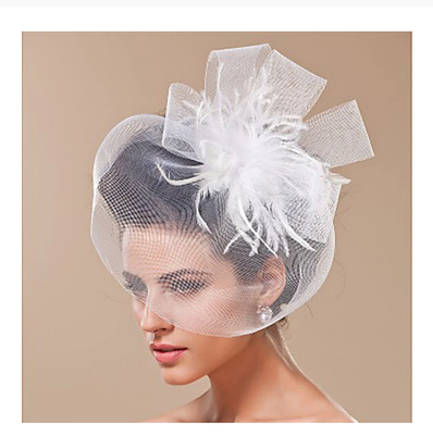 Bridal Sheer Feather Birdcage Veil Mesh Netted Hat  display picture 1