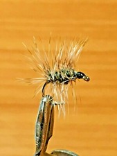 Alba Trout Flies. 6 Griffiths Gnat sizes, 12 14 16.