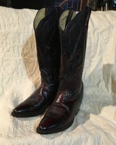 dan post black cherry boots