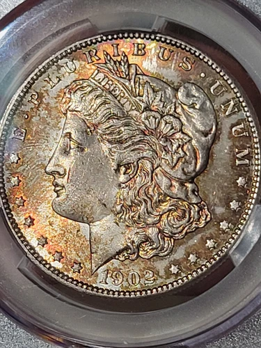 1902 0 $1 Morgan Dollar CAC MS64 Toned