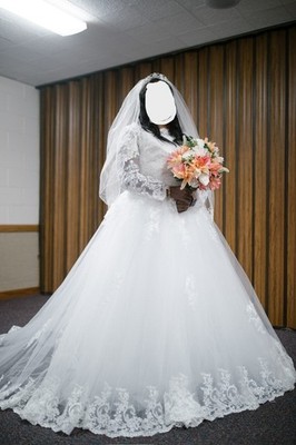 V Neck Lace Applique Wedding Dress Long Sleeve Sweep Train Plus Size Bridal Gown