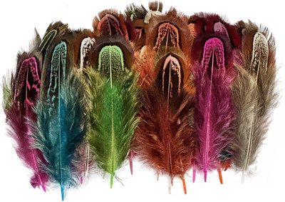 100 Pcshappy Feather Natural Pheasant Plumage Feathers 2-3 Inches Plumage Feathe