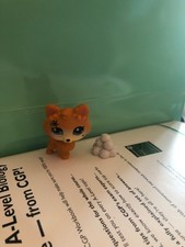 littlest pet shop Husky Artic dog Wolf blindbox snowball