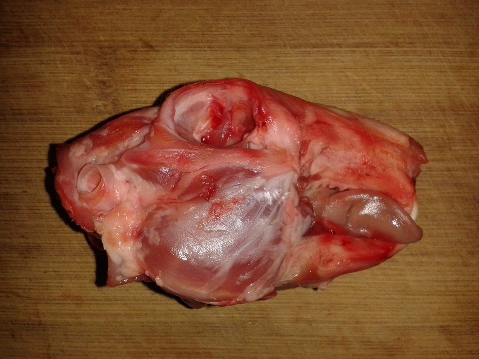 Kaninchen,Köpfe,Fleisch,BARF,Hundefutter,20 Stück(4x5 Stück) Vakuum verpackt TK, - Bild 3 von 3