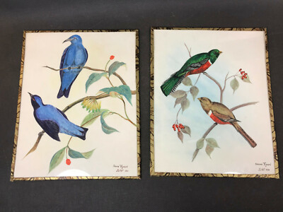 Lot Of 2 Watercolors Under Glass Signed Simone VIGNARD 1960 Bird Drawings