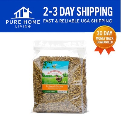 Nutritious 5LB Mealworms - Additive-Free Treat for Poultry, Birds, and Hedgehogs