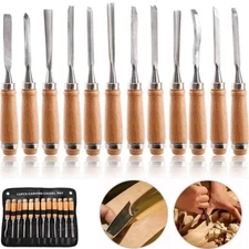 Professional 12Pcs Wood Carving Chisel Set Woodworking Tools Great for Beginners