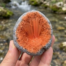 Natural Yellow Needle Geode Specimen Home Altar Decor Abundance Healing Crystal