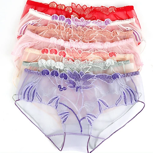 Womens Sexy Underwear See Through Lingerie Mesh Briefs Lace Panties Knickers🎀 - Picture 4 of 30