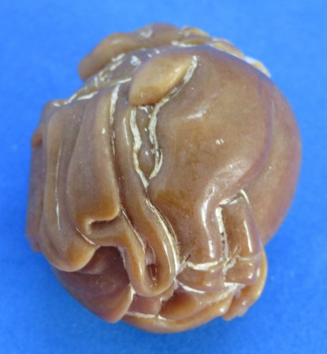 Japanese carved nut vintage Victorian Meiji Period oriental antique man netsuke - Picture 7 of 8