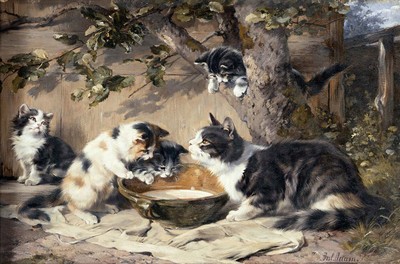 Julius Adam ''''Milchschale'''' Katze braunes Kunstwerk PAPIER oder LEINWAND bildender Kunstdruck