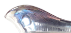 Bild 3 von 8