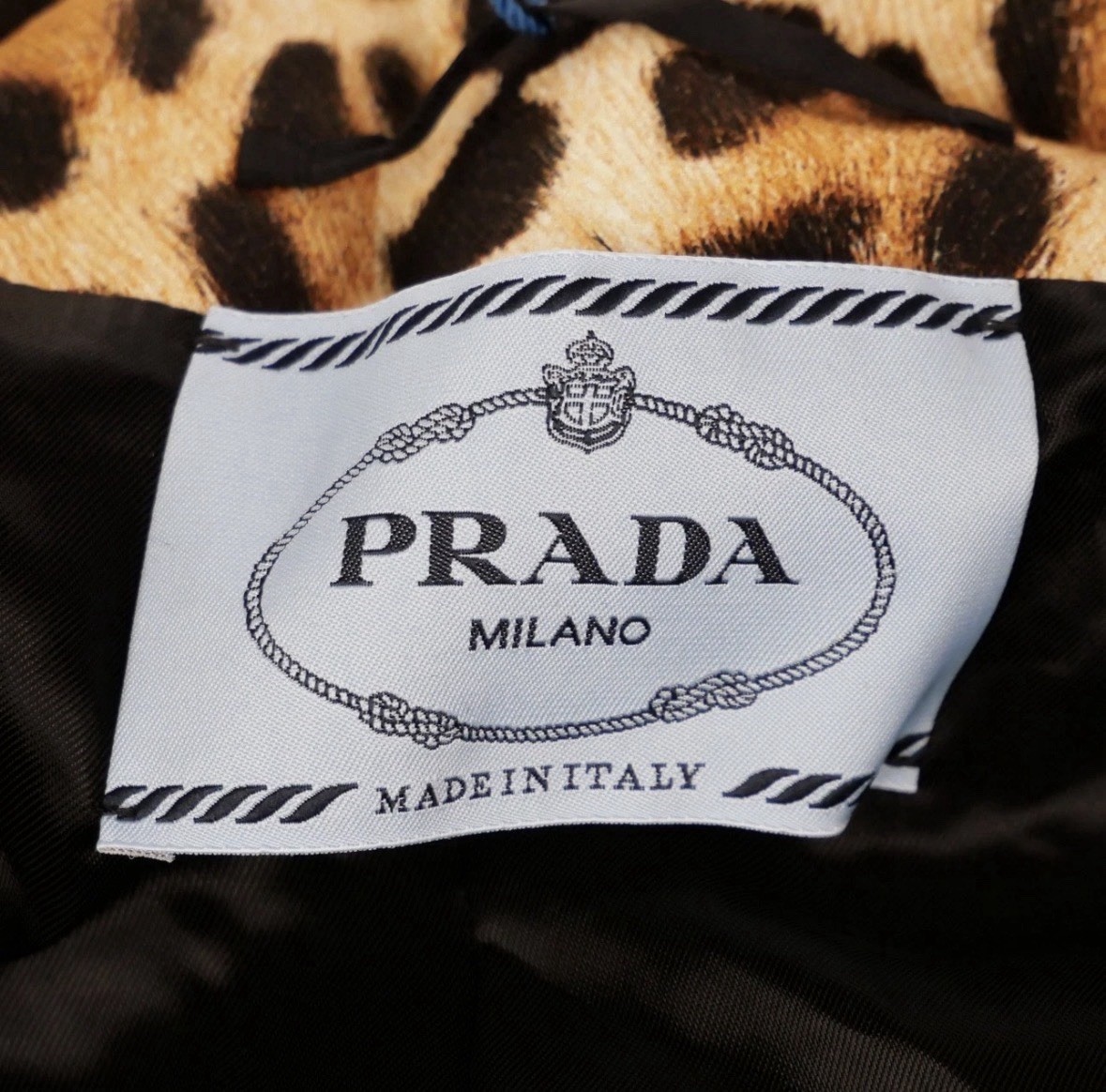 PRADA - Leopard Print Single Breasted Jacket Runw… - image 9