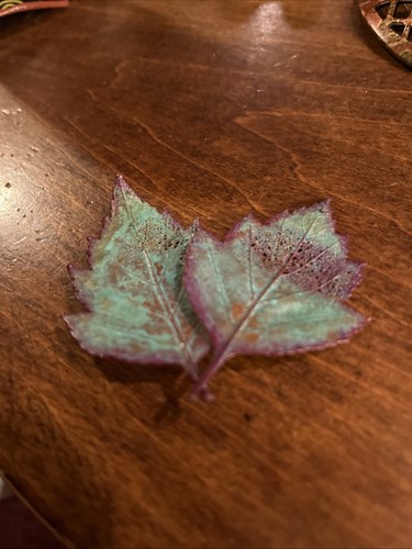 Vintage Natures Creation Hawthorn Leaf Pin