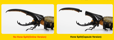 Creature Encyclopedia Beetle 07 Hercules Beetle Online version Set