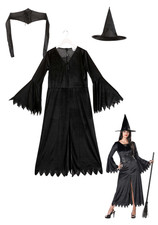 Adult Classic Wicked Witch Costume