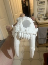 Sabre Tooth  Fossil Replica