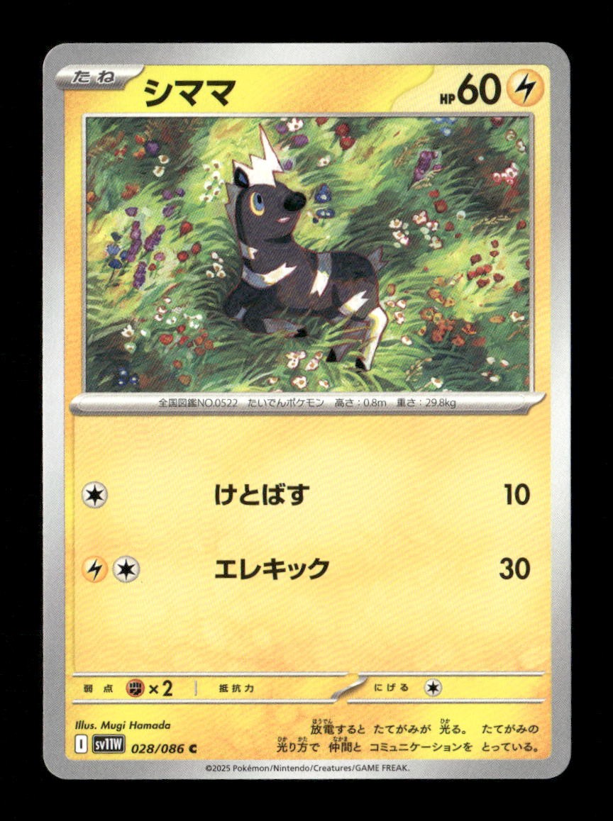 Blitzle Common SV11W: White Flare 028/086 NM Pokemon NM