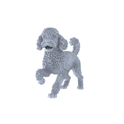 LYTR24260 1/24 Poodle 5PCS Cute Interactive Pet 1set