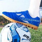 Afbeelding 10 van 22